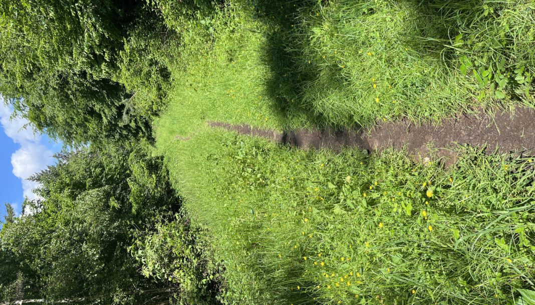 Heidelberg prüft kommunale Lösung für Windpark am Lammerskopf nach Ablehnung im Planungsausschuss