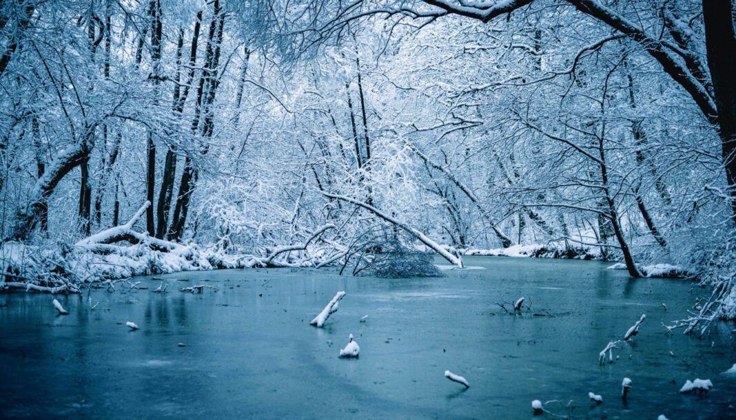 Heilbronn warnt: Eisflächen in städtischen Seen sind noch nicht freigegeben