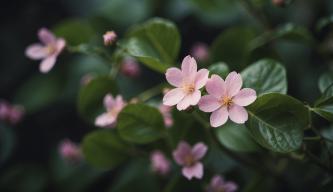 Nett ist die kleine Schwester von...: Die wahre Bedeutung dieser Redewendung