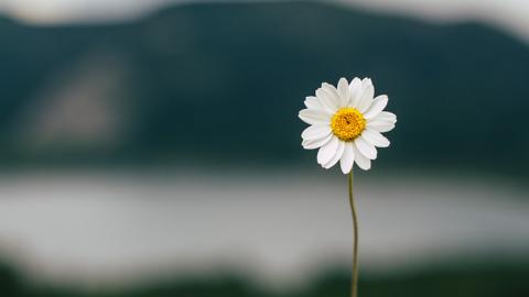 Seltene klassische Jungennamen: Entdecken Sie einzigartige Vornamen für Jungen